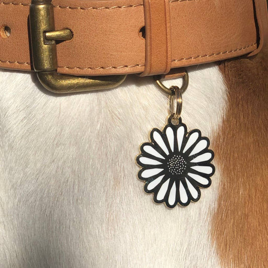 Daisy Pet ID-label