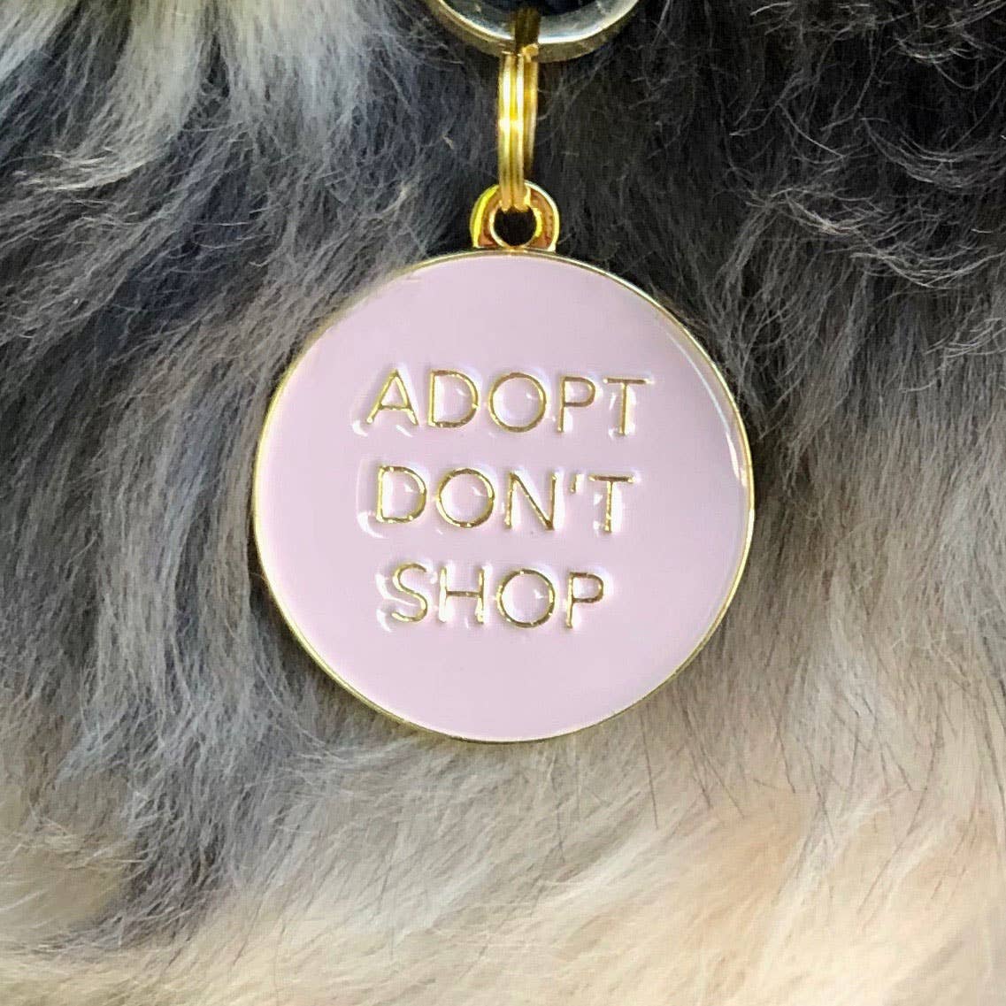 Adopteer Don't Shop Pet ID-tag