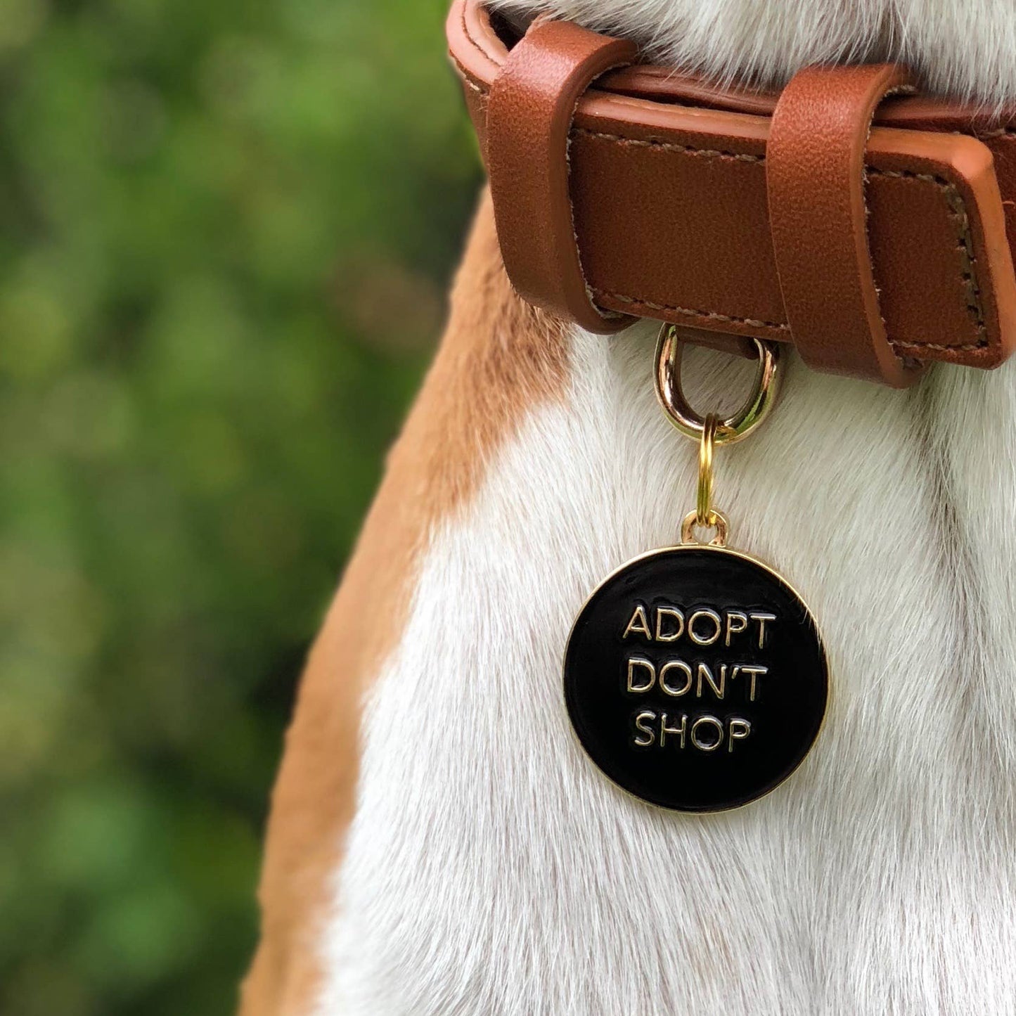 Adopteer Don't Shop Pet ID-tag