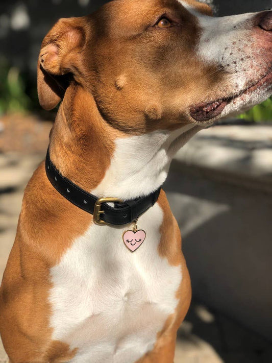 Smiling Heart Pet ID-tag